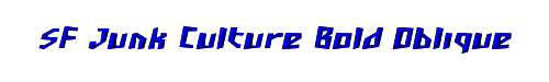 SF Junk Culture Bold Oblique 