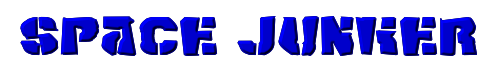 Space Junker 