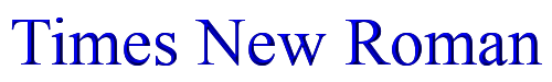 Times New Roman 
