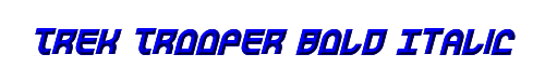 Trek Trooper Bold Italic 
