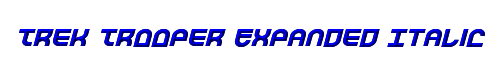 Trek Trooper Expanded Italic 