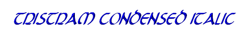 Tristram Condensed Italic 