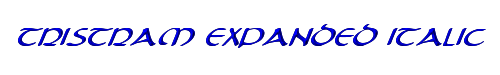 Tristram Expanded Italic 