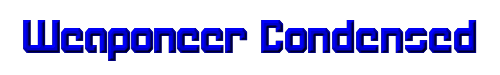 Weaponeer Condensed 