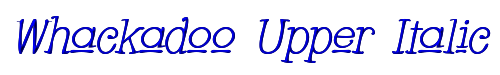 Whackadoo Upper Italic 