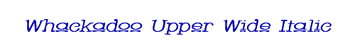 Whackadoo Upper Wide Italic 