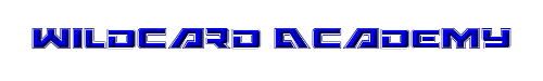 Wildcard Academy 