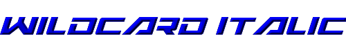 Wildcard Italic 