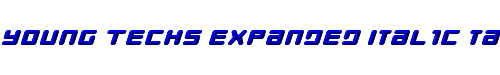 Young Techs Expanded Italic talic 