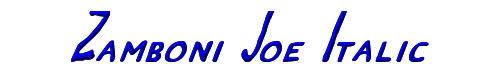 Zamboni Joe Italic 