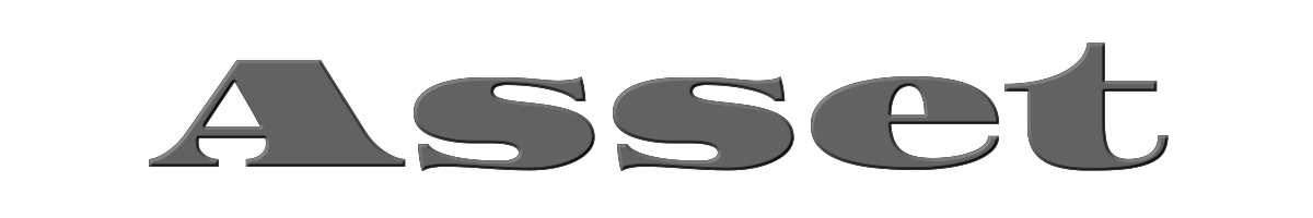 Asset 