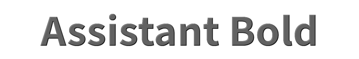Assistant Bold 
