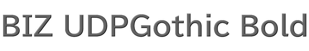BIZ UDPGothic Bold 