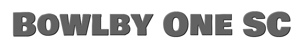 Bowlby One SC 