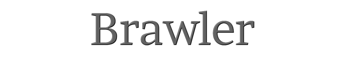 Brawler 
