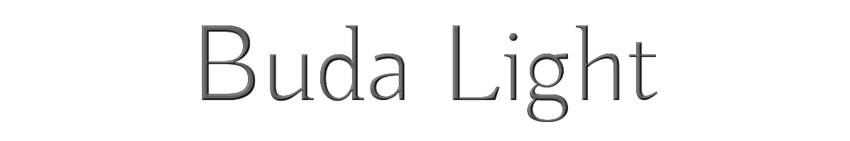 Buda Light 
