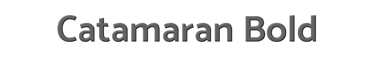 Catamaran Bold 