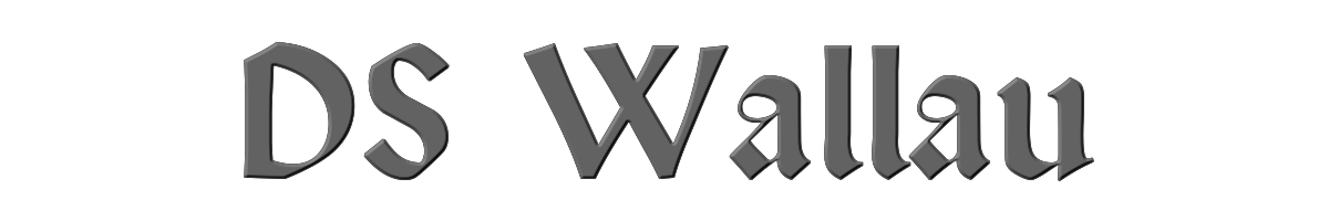 DS Wallau 