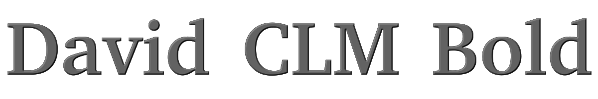 David CLM Bold 