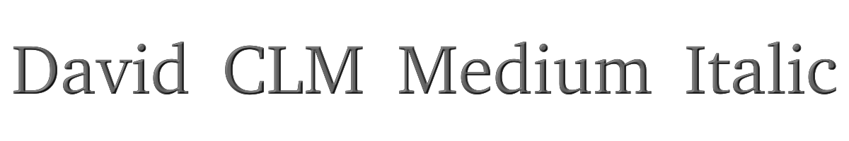 David CLM Medium Italic 