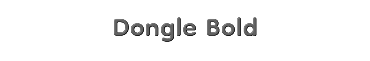 Dongle Bold 