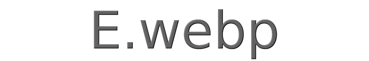 E 