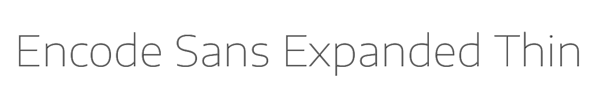 Encode Sans Expanded Thin 