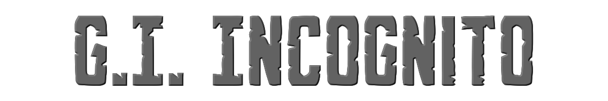 G.I. Incognito 