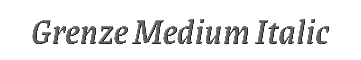 Grenze Medium Italic 