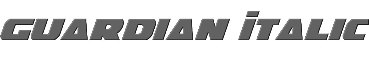 Guardian Italic 