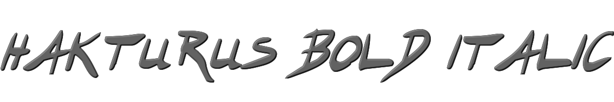 Hakturus Bold Italic 