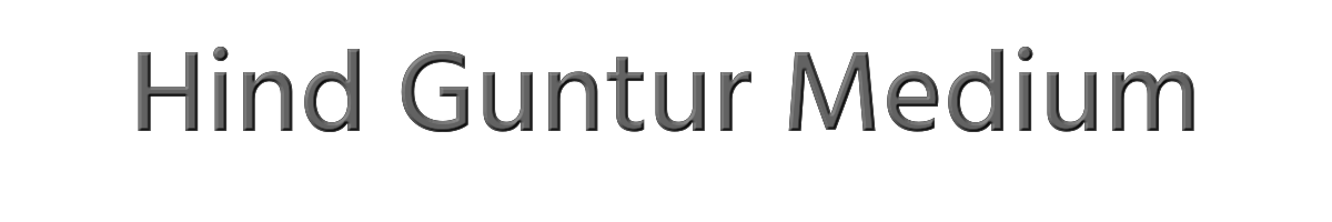 Hind Guntur Medium 