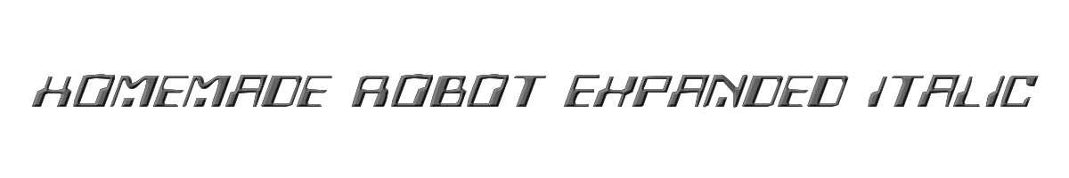 Homemade Robot Expanded Italic 