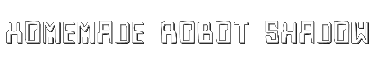 Homemade Robot Shadow 