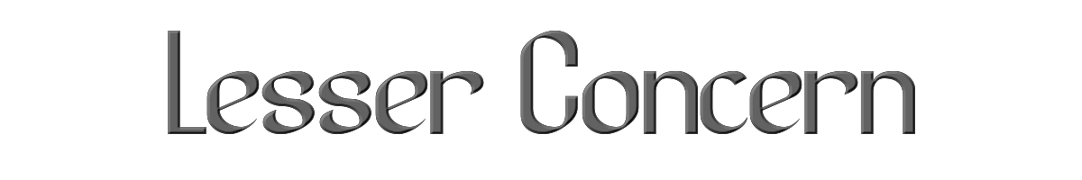 Lesser Concern 