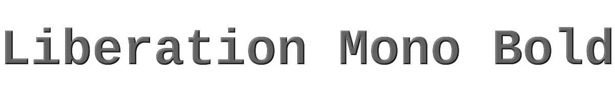 Liberation Mono Bold 