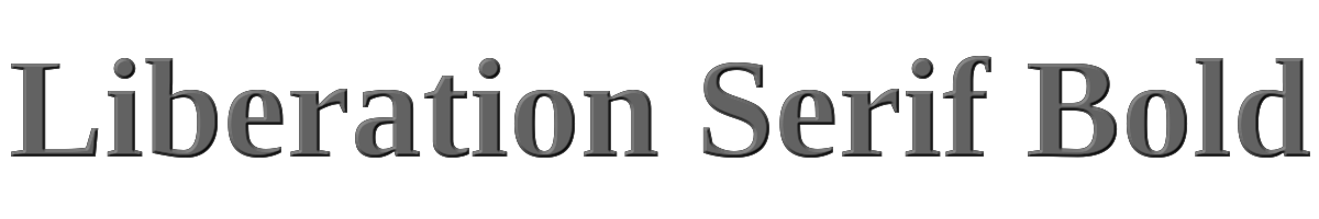 Liberation Serif Bold 