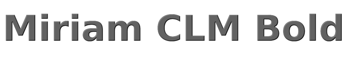 Miriam CLM Bold 
