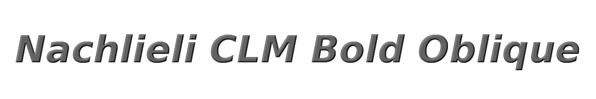 Nachlieli CLM Bold Oblique 