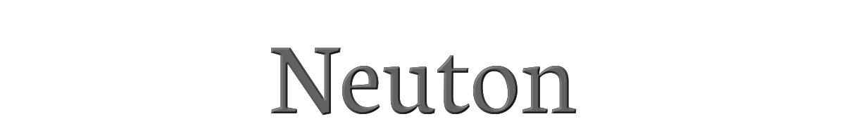 Neuton 