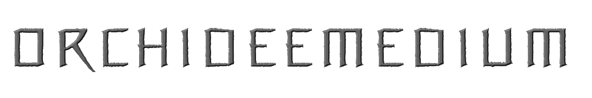 OrchideeMedium 