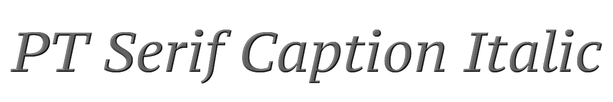 PT Serif Caption Italic 
