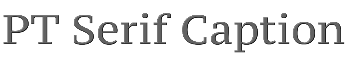 PT Serif Caption 