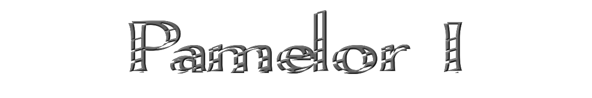 Pamelor I 