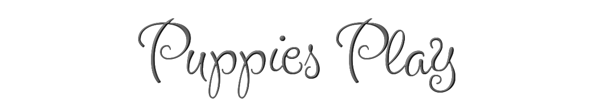 Puppies Play 