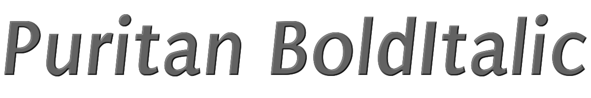 Puritan BoldItalic 