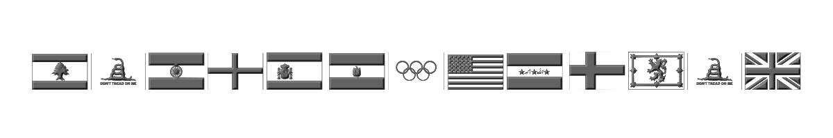 Raise Your Flag 