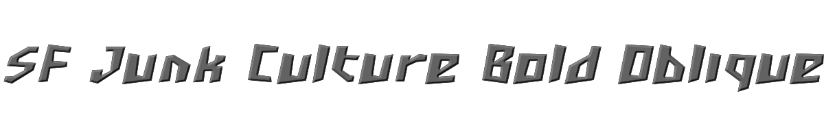 SF Junk Culture Bold Oblique 