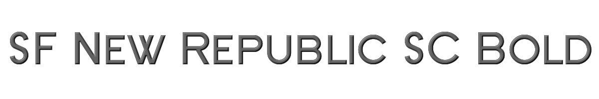 SF New Republic SC Bold 