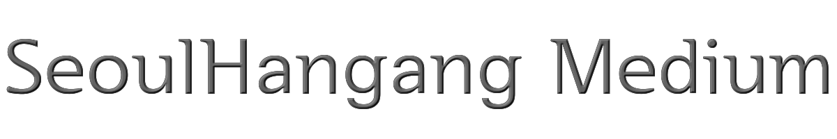 SeoulHangang Medium 
